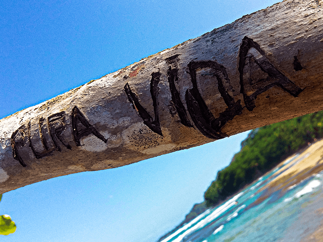 Pura Vida Costa Rica Popular Phrase